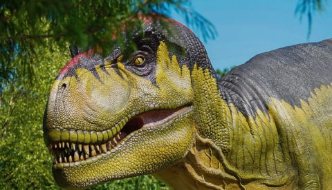 Estudo mostra que T. Rex "sacrificou" braços para turbinar o crânio