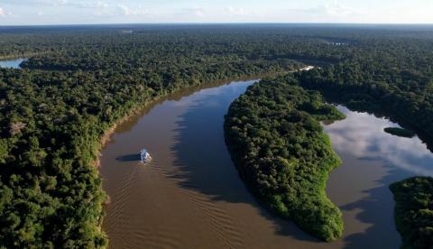 Amazonas reduz desmatamento em 14,6% e registra queda de 30% nos alertas ambientais