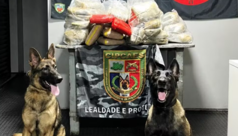 Mais de 90 kg de drogas são apreendidos em ferryboat entre Tabatinga e Manaus