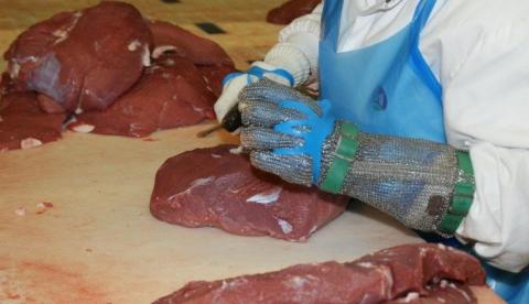 Governo tenta reverter sanção da União Europeia às exportações de carnes brasileiras