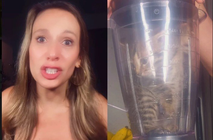 Aos prantos, Luisa Mell relata caso de adolescente que triturou gato em liquidificador
