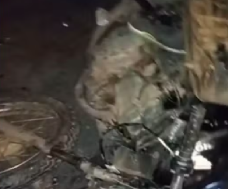 Adolescente de 17 anos morre após bater moto em caminhão parado no Amazonas