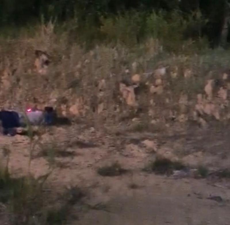 Corpo com marcas de tiros na cabeça é encontrado por vigilantes na BR-174