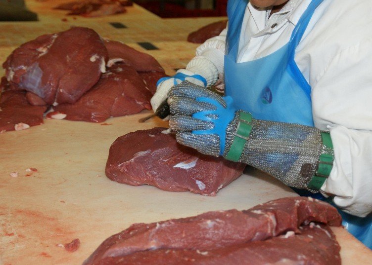 Governo tenta reverter sanção da União Europeia às exportações de carnes brasileiras