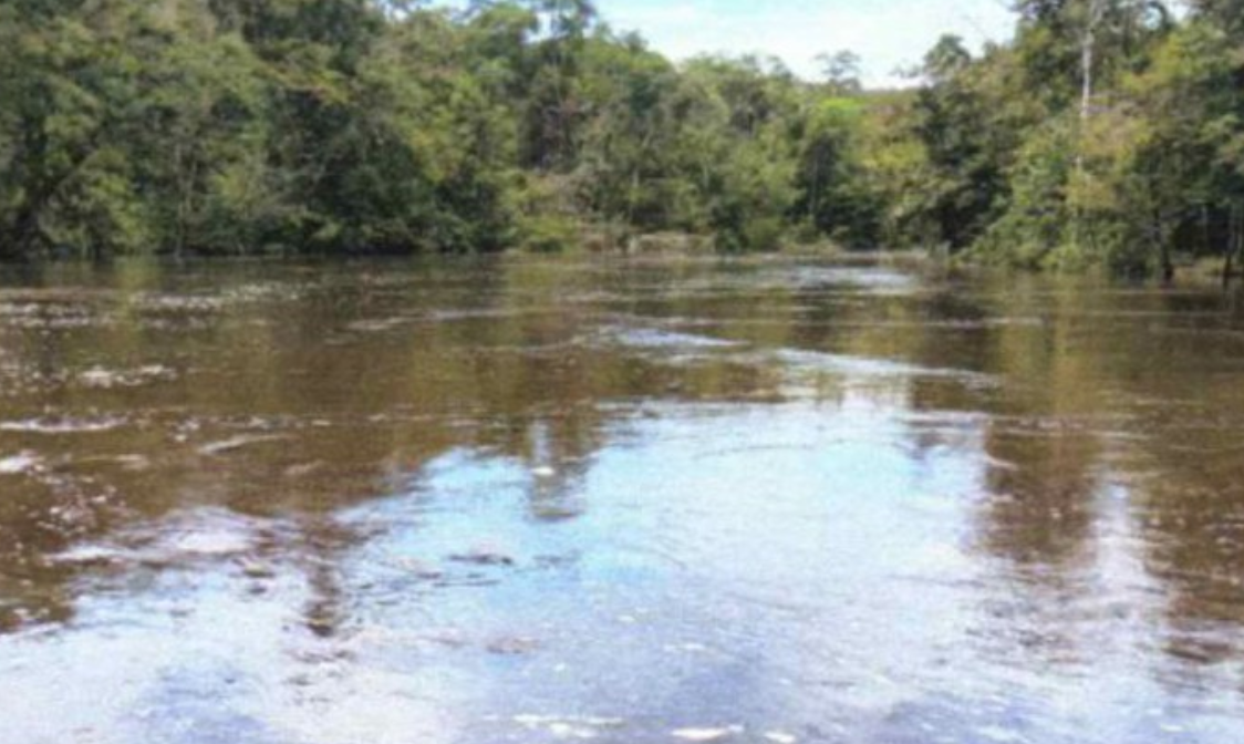 MPF aciona PF e Ibama por contaminação de metais pesados em terra indígena no Amazonas