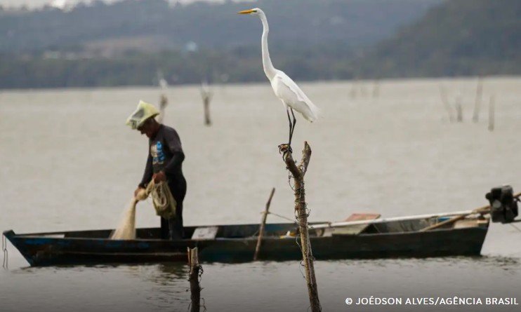 Nova Lei do Seguro-Defeso é sancionada e beneficia 120 mil pescadores no Amazonas