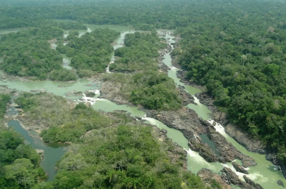 Câmara aprova projeto que reduz área de proteção na Amazônia