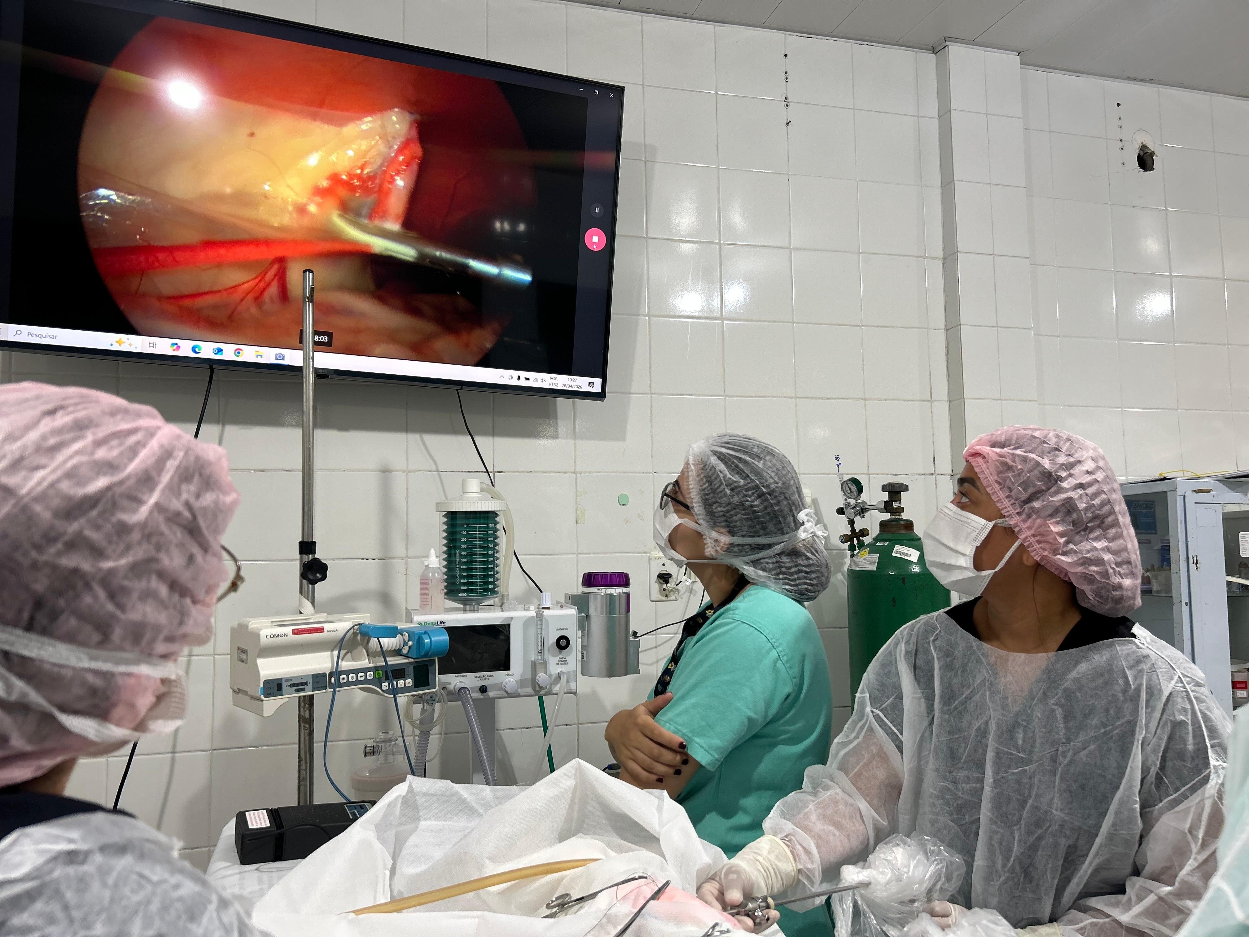 Manaus ganha serviço inédito de videolaparoscopia para pets