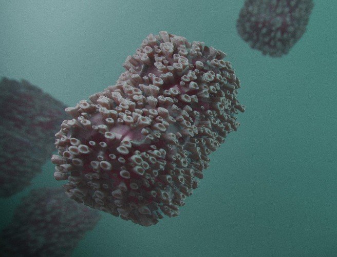 Rio Grande do Sul e São Paulo investigam casos suspeitos de Ebola