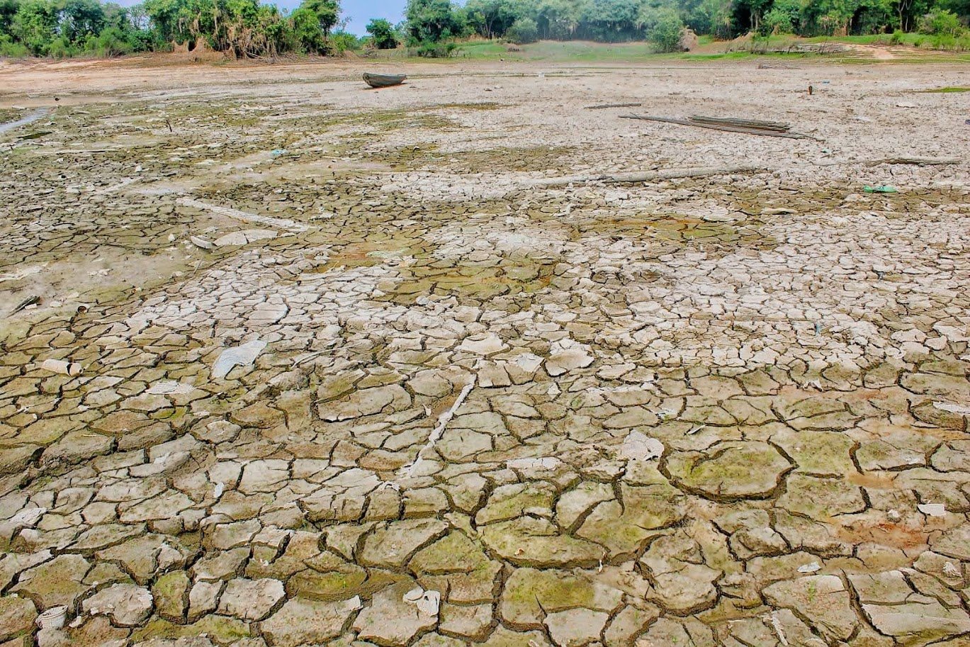 Amazonas decreta emergência por risco de repetir seca histórica de 2023