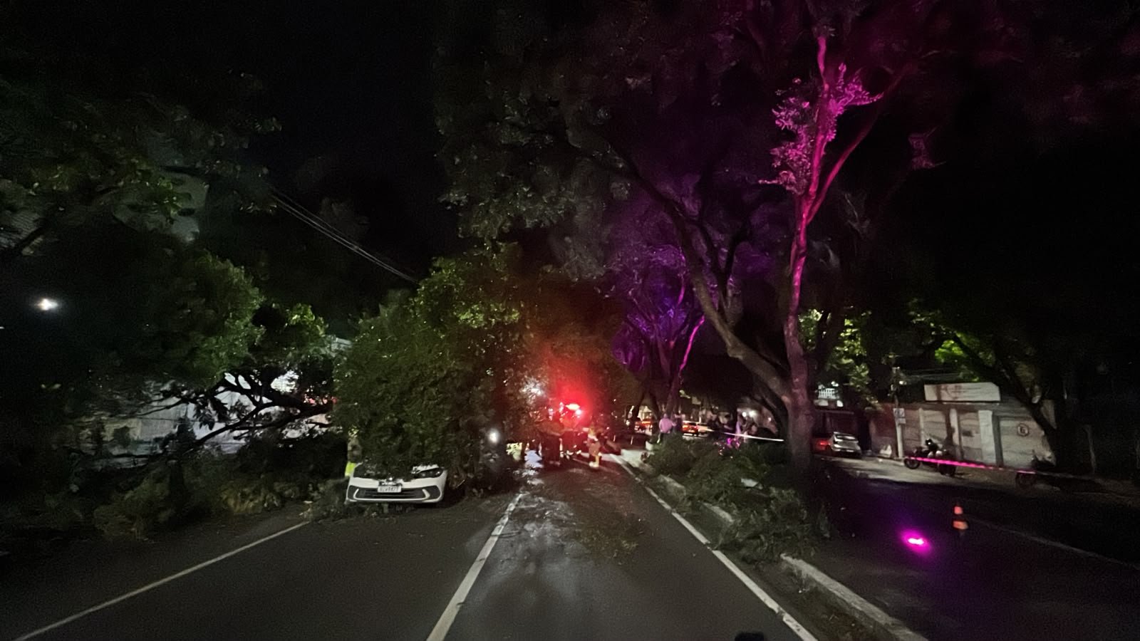 Queda de árvore sobre carro complica trânsito na Avenida Getúlio Vargas nesta quarta-feira