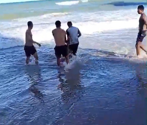 Mulher e criança têm pernas arrancadas por tubarões em ataques distintos em Recife
