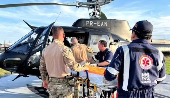 Homem cai de açaizeiro e é atingido pela própria árvore no Amazonas
