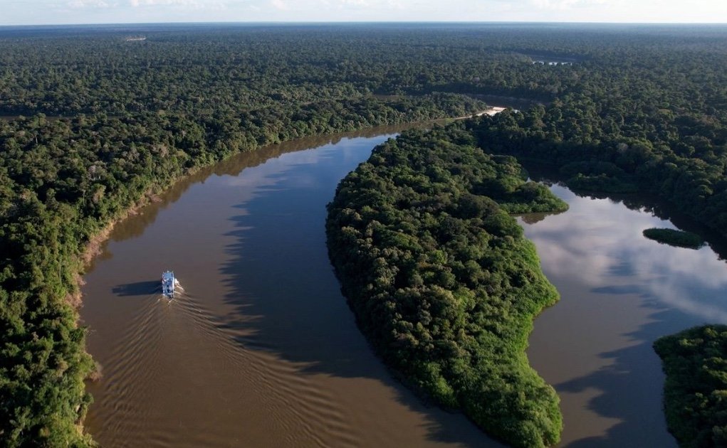 Amazonas registra redução no desmatamento e queda de 45% nos alertas