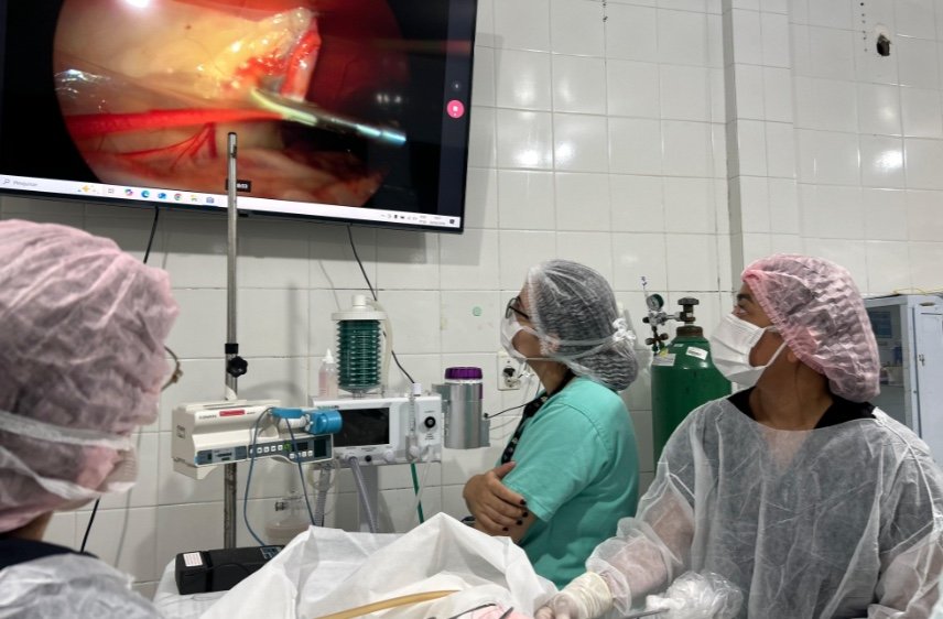 Centro veterinário de Manaus, CECV passa a realizar cirurgias por videolaparoscopia