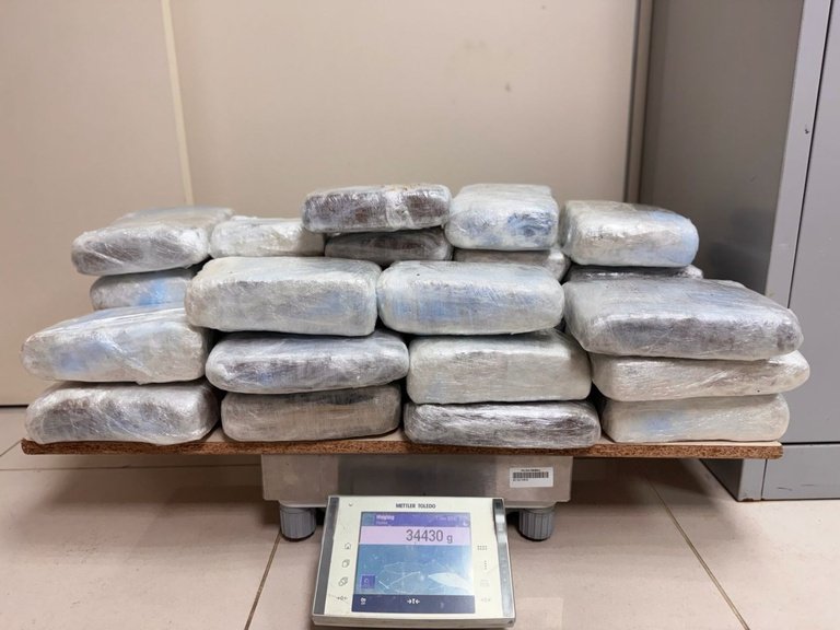 Cães farejadores ajudam a interceptar 34 kg de maconha vinda de Coari para Manaus