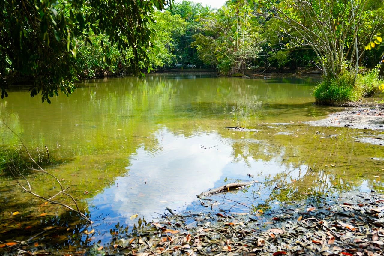 Pesquisas do Inpa vão guiar criação de paradas de ônibus climatizadas e revitalização de lagoa