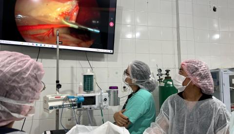 Manaus ganha serviço inédito de videolaparoscopia para pets