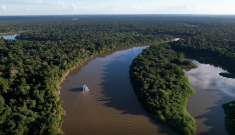 Aplicativo inédito monitora indicadores sociais, econômicos e ambientais da Amazônia Legal