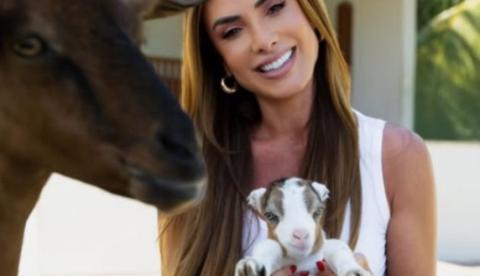 Nicole Bahls cogita nomear bichinho de sua fazenda como "Ancelotti" após Copa do Mundo