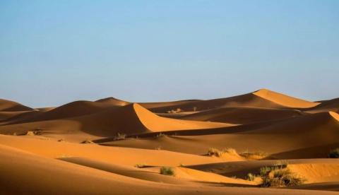 Tragédia no Saara: Pane em caminhão deixa quase 50 mortos por sede no deserto