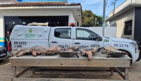 Operação da SSP apreende 2,2 kg de drogas e quelônios em municípios do Amazonas