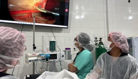 Centro veterinário de Manaus, CECV passa a realizar cirurgias por videolaparoscopia