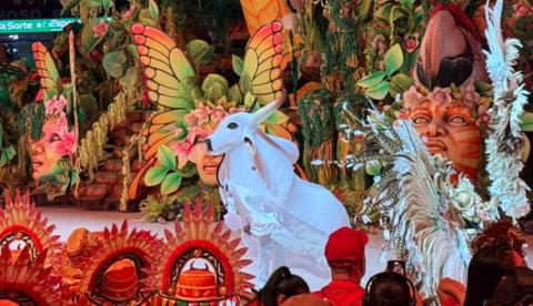 Garantido encerra última noite de festival e transforma Parintins em terra encantada