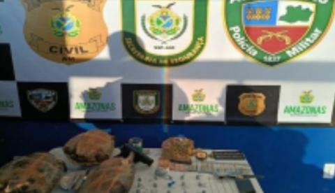 Polícia apreende drogas, simulacro de arma e tartaruga durante operação em Canutama