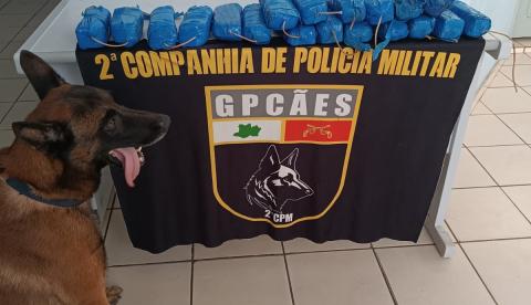 Drogas avaliadas em mais de R$ 500 mil é apreendida em fundo falso de barco no Amazonas