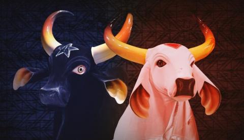 Confira o calendário oficial de eventos bovinos que antecedem o Festival de Parintins 2026
