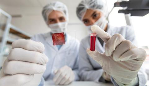 Junho Laranja: saiba por que é importante avaliar a saúde do sangue e como fazer