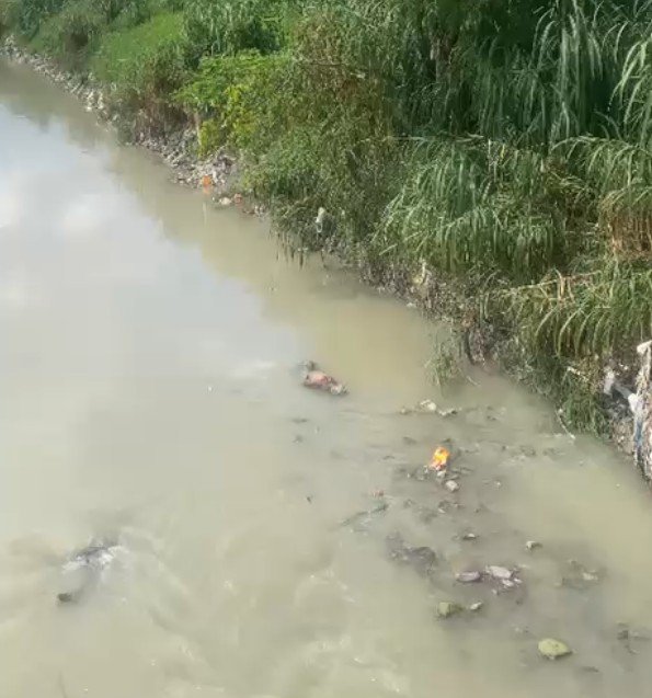 Torturado: Com pés e mãos amarrados, homem é achado dentro de igarapé no Novo Aleixo