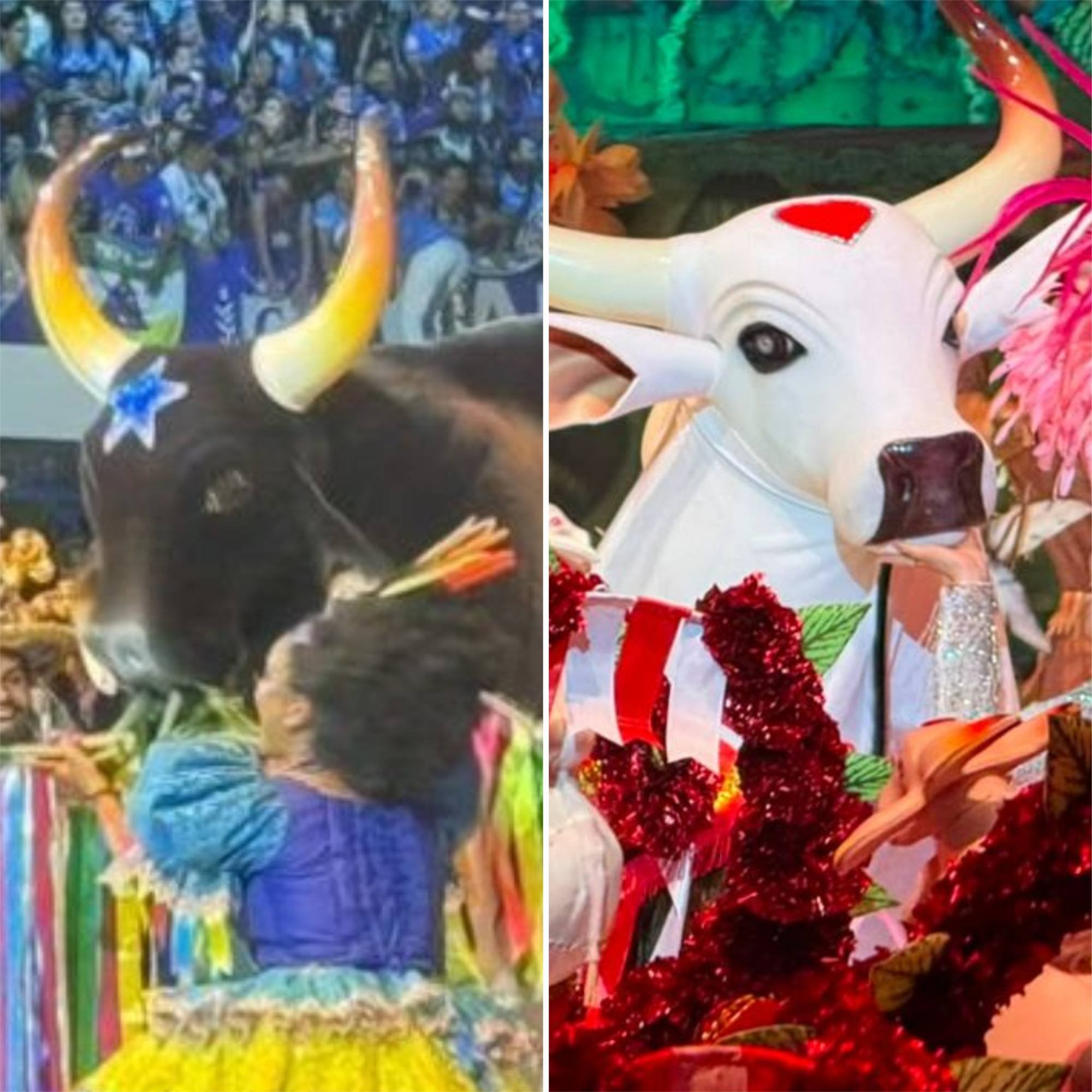 Chegou o dia: Caprichoso e Garantido conhecem hoje o vencedor de 2026