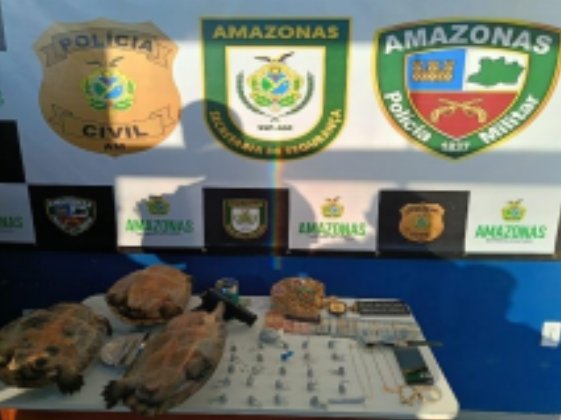 Polícia apreende drogas, simulacro de arma e tartaruga durante operação em Canutama