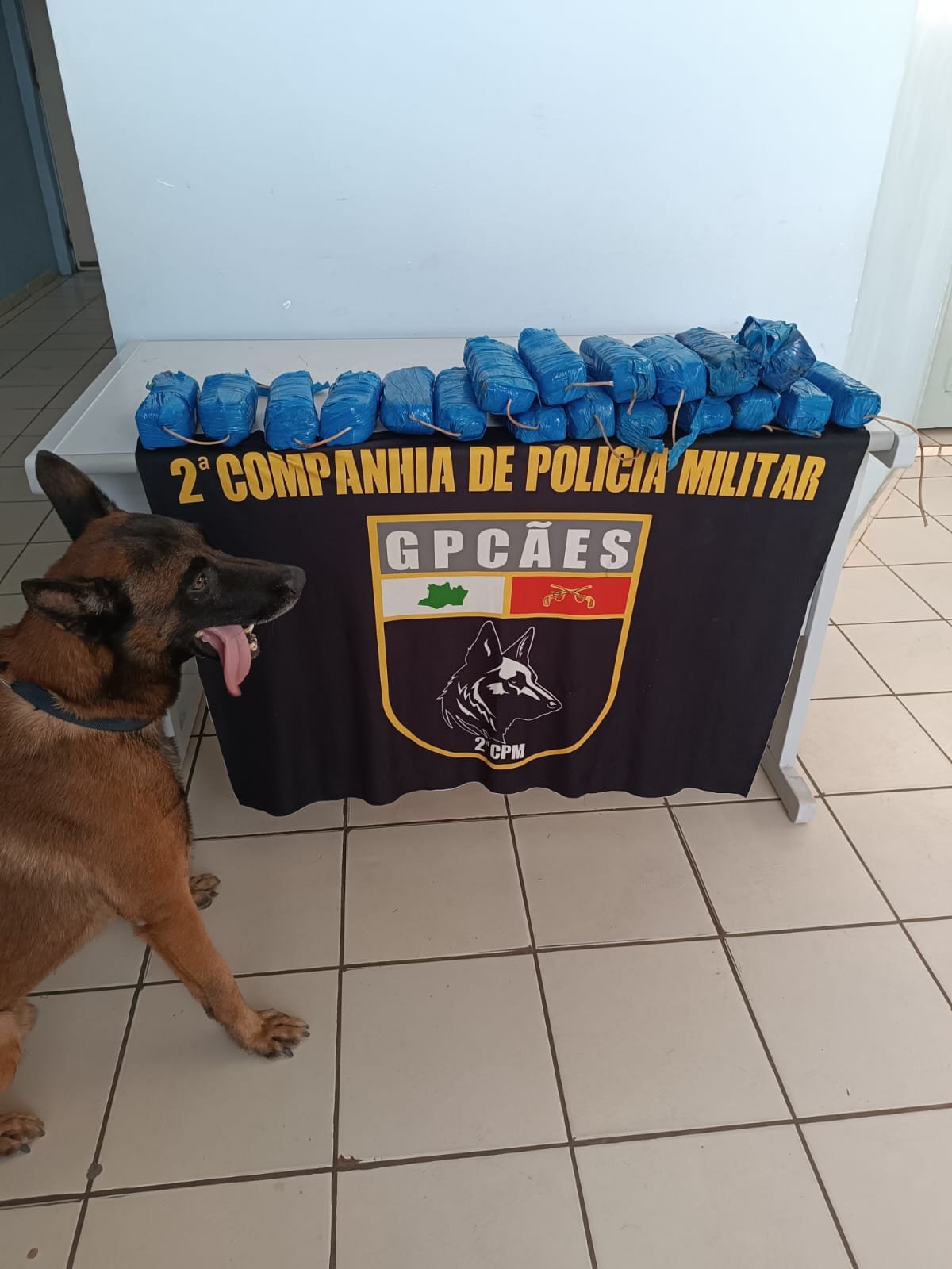 Drogas avaliadas em mais de R$ 500 mil é apreendida em fundo falso de barco no Amazonas