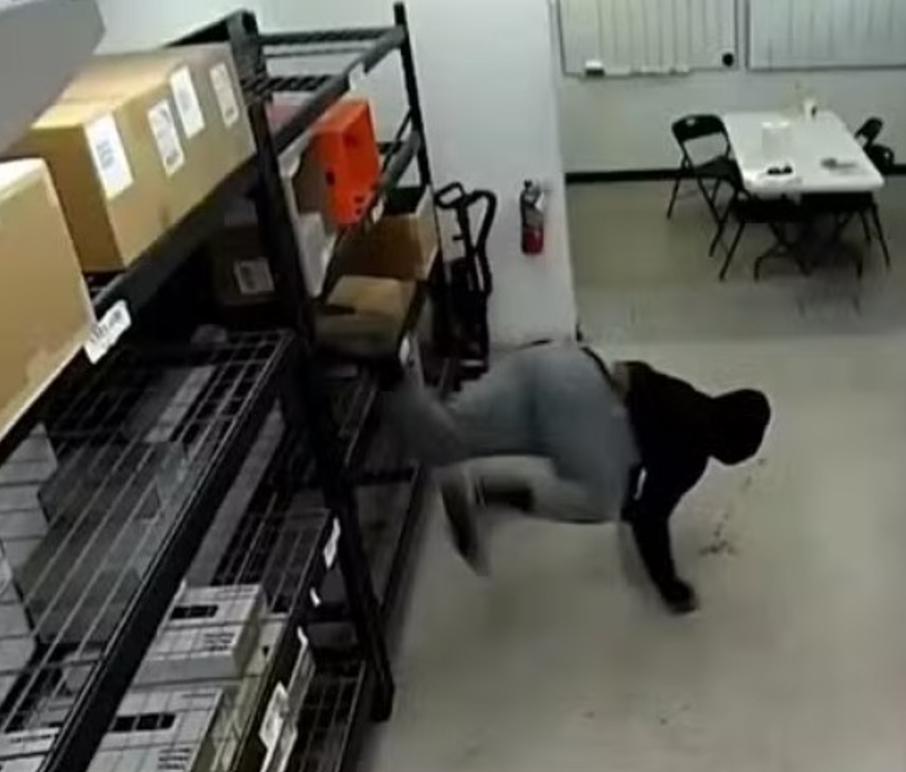 Ladrão tem picape roubada enquanto assaltava loja e vai preso