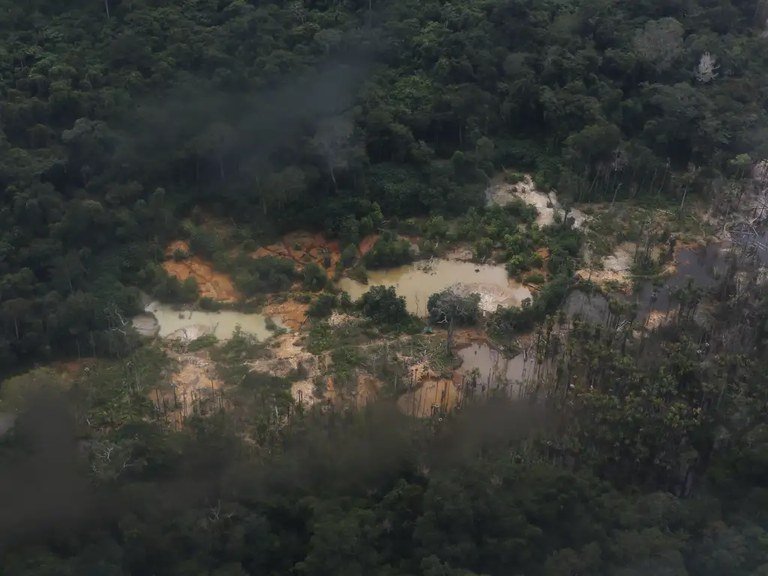 Justiça torna réus quatro acusados de garimpo ilegal no Amazonas