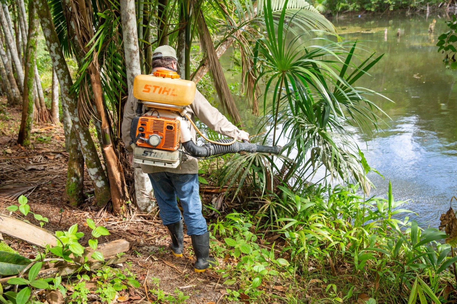 Verão amazônico e vazante dos rios acendem alerta para alta sazonal de malária em Manaus
