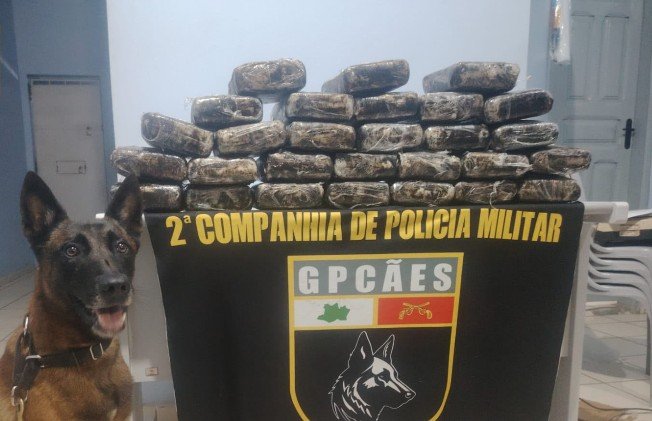 Homem é preso com 35 kg de drogas escondidos em estrutura de cama em Tonantins
