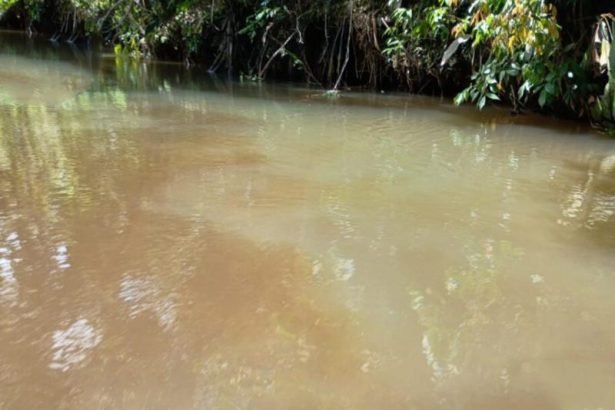 Mineradora Taboca é multada em R$ 22,5 milhões por descarte de resíduos em rio no Amazonas