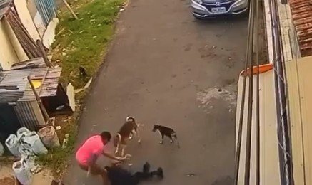 Vídeo mostra professor de jiu-jítsu agredindo adolescente durante confusão no Alvorada