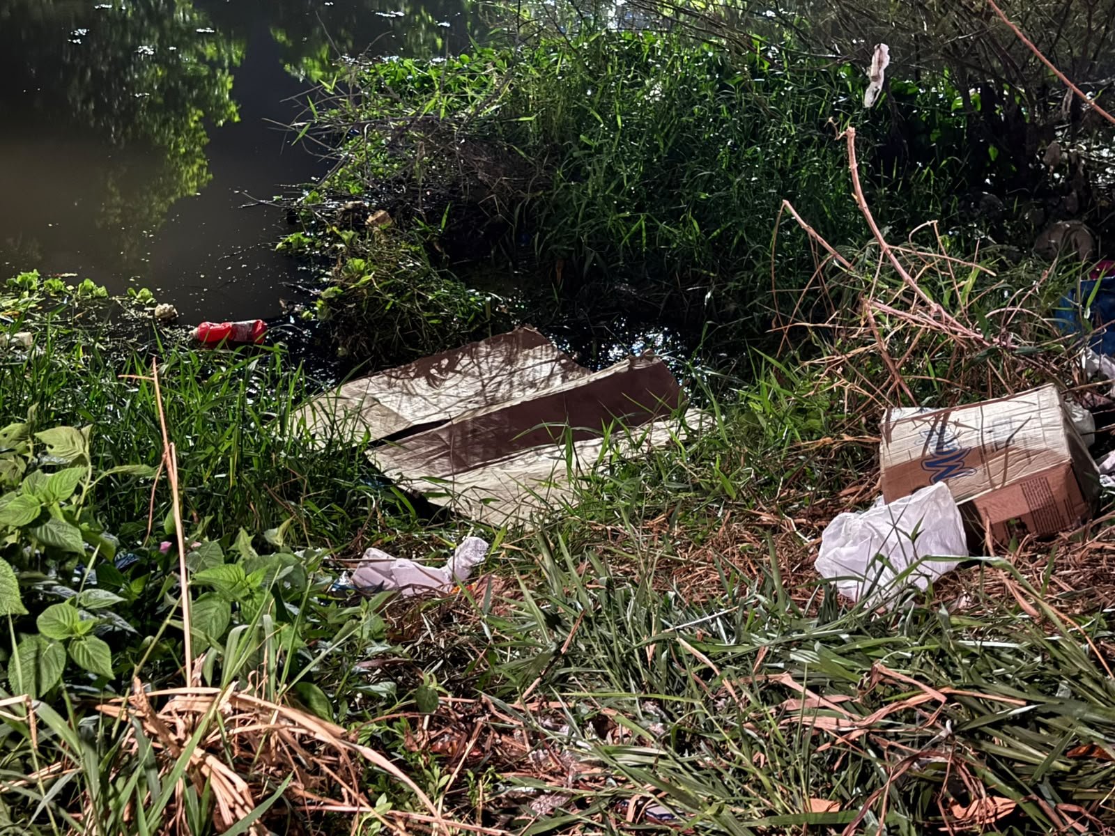 Crianças encontram corpo de mulher em igarapé na Zona Sul de Manaus