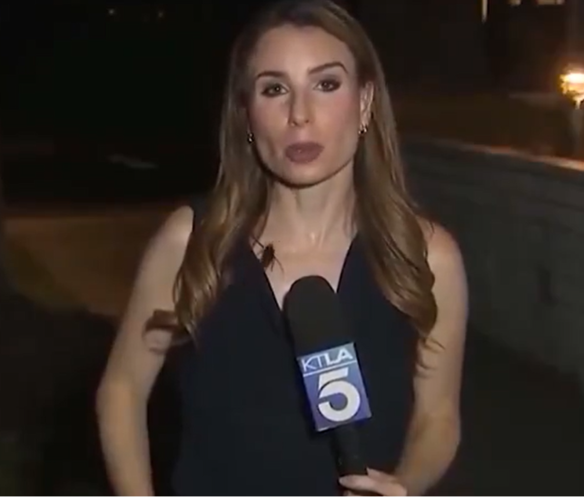 Barata voadora ataca repórter ao vivo; veja