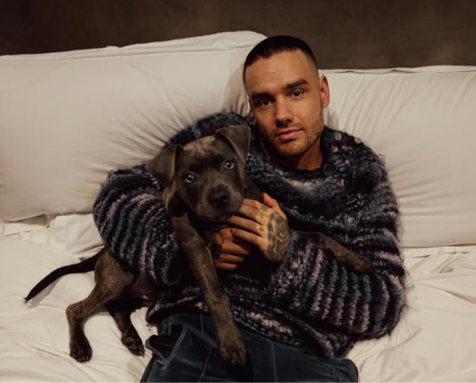 Justiça arquiva acusações contra amigo de Liam Payne acusado de abandonar cantor