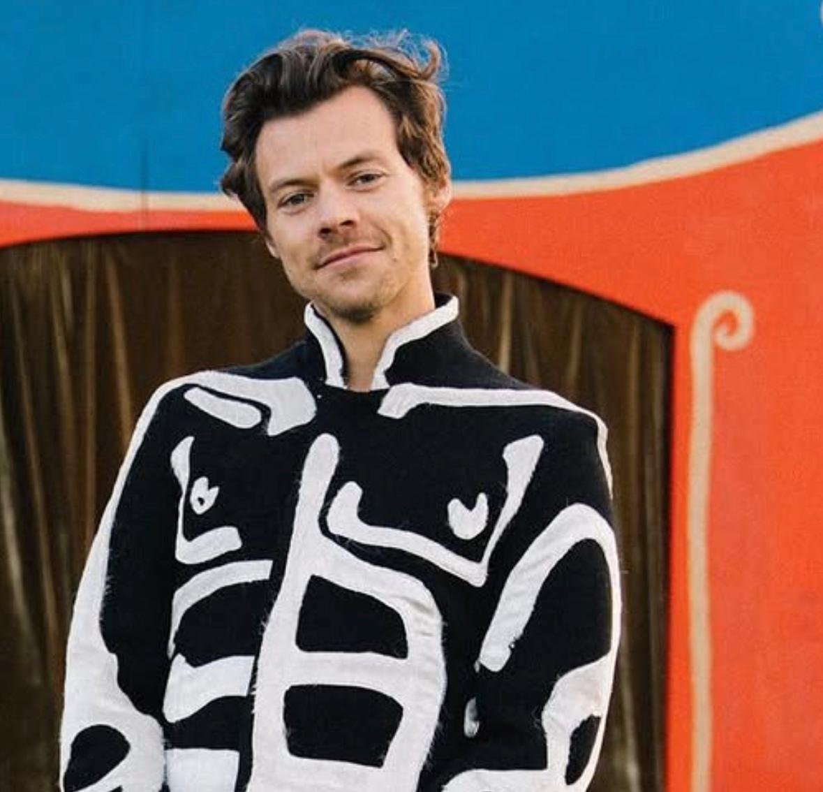 Harry Styles é visto caminhando em SP após cancelamento de show
