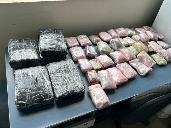 Cão farejador ajuda PF e Exército a descobrir 10 kg de drogas em aeroporto do Amazonas