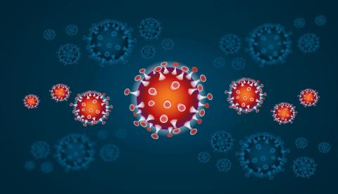 Pesquisadores anunciam dois novos casos de possível cura do HIV após transplantes