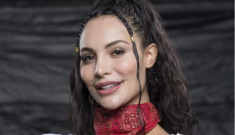 Aline Mineiro já se envolveu em polêmicas antes de confusão em condomínio
