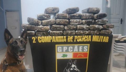 Homem é preso com 35 kg de drogas escondidos em estrutura de cama em Tonantins